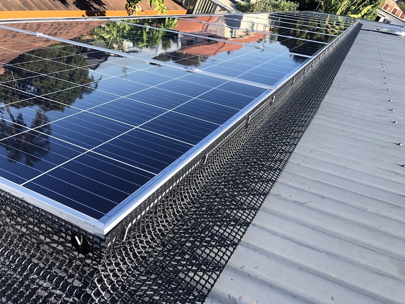 Solar Cleaning & Bird Proofing