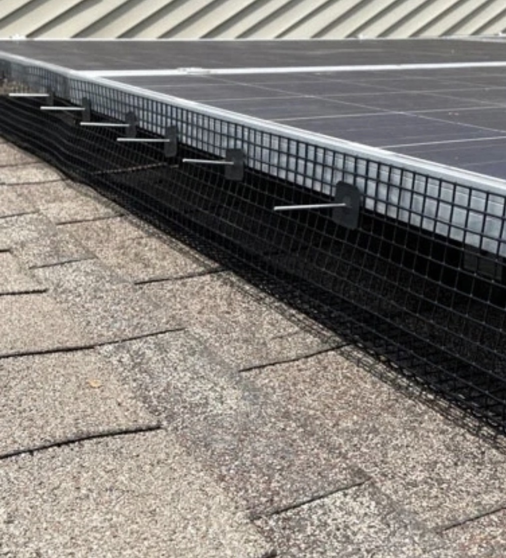 Solar Bird Proofing