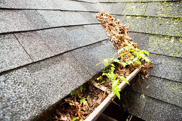 Gutter Services